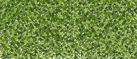Ivy horizontal background, green creeper vines curtain. Vector illustration in flat cartoon style