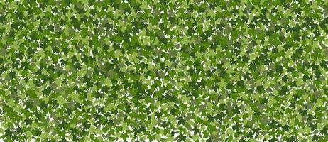 Ivy horizontal background, green creeper vines curtain. Vector illustration in flat cartoon style