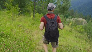 Hiking among the flowers in the forest. video