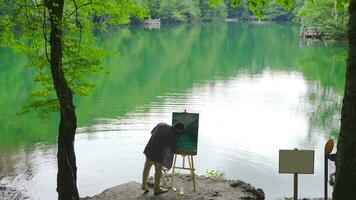 Painter painting against lake and forest landscape. video