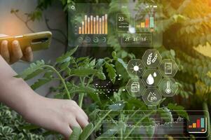 el concepto de utilizando ai y inteligente agricultura. foto