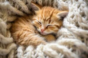 The Art of Relaxation - A Fluffy Kitten in a Peaceful Slumber - AI generated photo