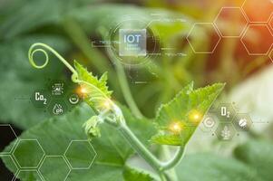 el concepto de utilizando ai y inteligente agricultura. foto