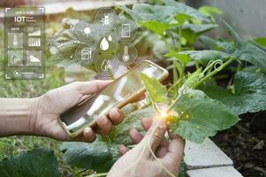 el concepto de utilizando ai y inteligente agricultura. foto