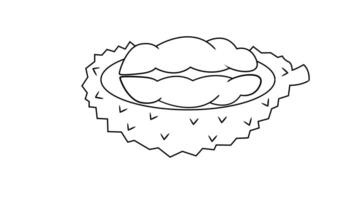 Animation forms a sketch of a durian fruit icon video