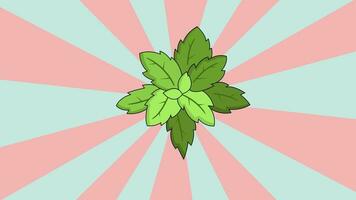 Animated mint leaf icon with a rotating background video