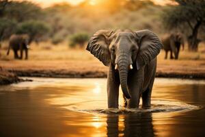 Elephant wallpaper, Elephant HD ,Elephant images download Ai generated photo