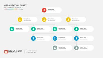 Organizational Chart, Tree Diagram, Dendrogram Business Infographic Template Design vector