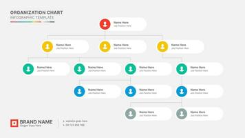 Organizational Chart, Tree Diagram, Dendrogram Business Infographic Template Design vector