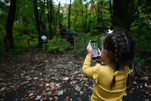 pequeño niña fotografiando otoño bosque con un teléfono inteligente en el parque. foto