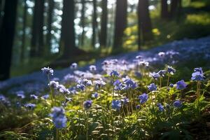 blue mink flowers in a forest under the sunlight, ai generative photo