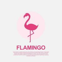 vector flamingo logo with pink color, animal art logo design illustration flamingo logo