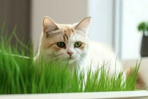 Cat fresh grass vitamin. Generate Ai photo