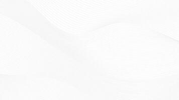 Abstract  white and gray color, modern design stripes background with wavy pattern. Vector illustration.
