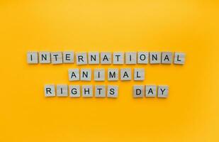 December 10, International animal rights day, minimalistic banner with the inscription in wooden letters photo