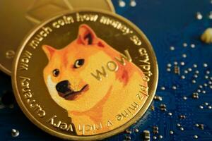 Dogecoin on circuit mainboard computer for business and commercial, Digital currency, Virtual cryptocurrency. photo