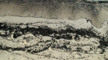 el sucio blanco arena playa tiene estado contaminado y usted lata ver negro suciedad en el costa. foto