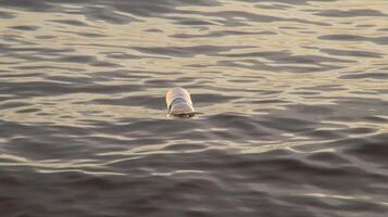 Plastic bottles of mineral water floating in the ocean. Plastic waste environmental pollution. photo