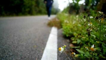 Asian woman is walking and relaxing with freedom in natural wild jungle and foggy rain forest on countryside of mountain. Soft and blurred focus video