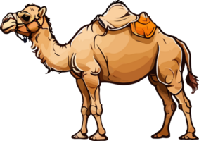 kamel illustration bild ai generativ png
