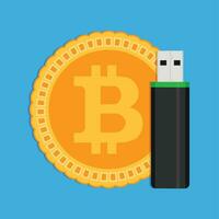 Storage of crypto coins bitcoin. Vector bitcoin and flash drive usb, cryptocoin wallet illustration