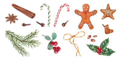 Set of Xmas decoration. Cinnamon stick, star anise, candy cane, gingerbread cookie, holly, spruce, cloves, red berries. Watercolor illustration for Christmas and New Year design, spice shop png