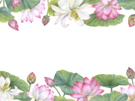 Horizontal frame of blooming water lilies and green leaves. Lotus flowers, Indian lotus, leaf, bud. Space for text. Watercolor illustration for greetings, package, label, invitation png