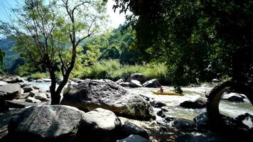 Tourists enjoying and adventure on kayak extreme in floating on stream natural water in forest and jungle wild video