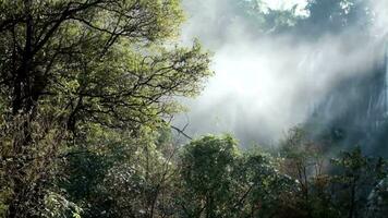 frisch Wasserfall Nebel im Urwald und Regen Wald mit Sonnenlicht und Sonnenstrahl in das wild im Thailand video