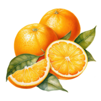 aguarela laranja fruta ilustração. ai generativo png