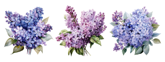 Watercolor set of lilac flowers. AI Generative png