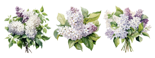 Watercolor set of lilac flowers. AI Generative png