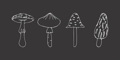 Set of poisonous mushrooms. Doodle. Vector illustration isolated on dark background. Morel,  fly agaric, toadstool. Different types in the style of line art.