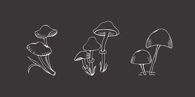 Set of  family poisonous mushrooms, toadstools.  Doodle. Vector illustration isolated on dark background. Different types in the style of line art.