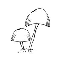 Illustration of the mushroom family. Poisonous mushroom, toadstool. Doodle. Hand drawn. Vector isolated on white background.