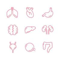 Human internal organs icon set. lungs, kidneys, brain, heart, liver, eye, bladder, intestines, stomach. For apps and websites. Vector illustration on white background. Infographic. Vital organ.