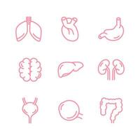 humano interno órganos icono colocar. pulmones, riñones, cerebro, corazón, hígado, ojo, vejiga, intestinos, estómago. para aplicaciones y sitios web vector ilustración en blanco antecedentes. infografía. vital Organo.