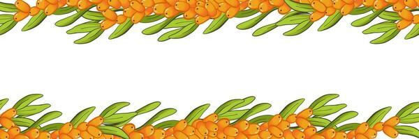 Banner template with  sea buckthorn branches, frame border background, vector on white background. For different design,