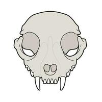 Isolated vector cat skull illustration.