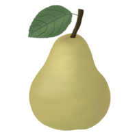 Fresh organic pear png