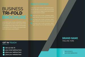 tri fold brochure design with space vector