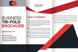 tri fold brochure design with space vector