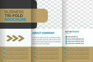 tri fold brochure design with space vector