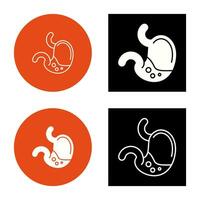 Stomach Vector Icon