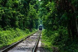 Clásico tren corriendo mediante túnel naturalmente creado desde arboles a lo largo el ferrocarril. 3d obra de arte foto