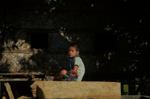 A rural little boy sitting on a tree branch near his house, a Generic lifestyle in Bangladesh. 3d artwork photo