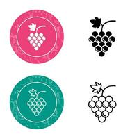 Grapes Vector Icon