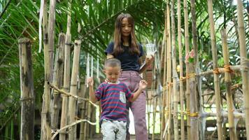 Mother and son walking on wooden bridge video