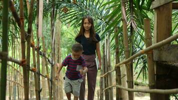 mãe e filho caminhando em de madeira ponte video