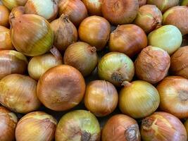 Group of Cooking Ingredient Called Big Onion or Bawang Bombay or Onion bulb or onion photo